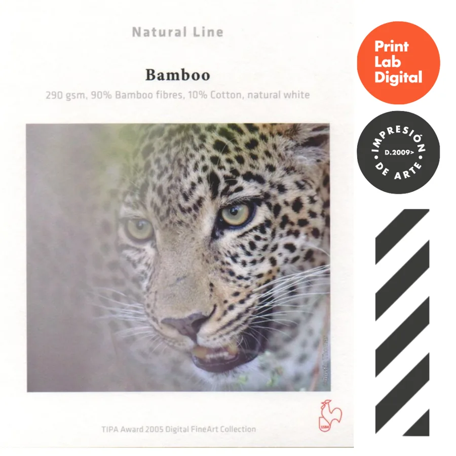 Bamboo