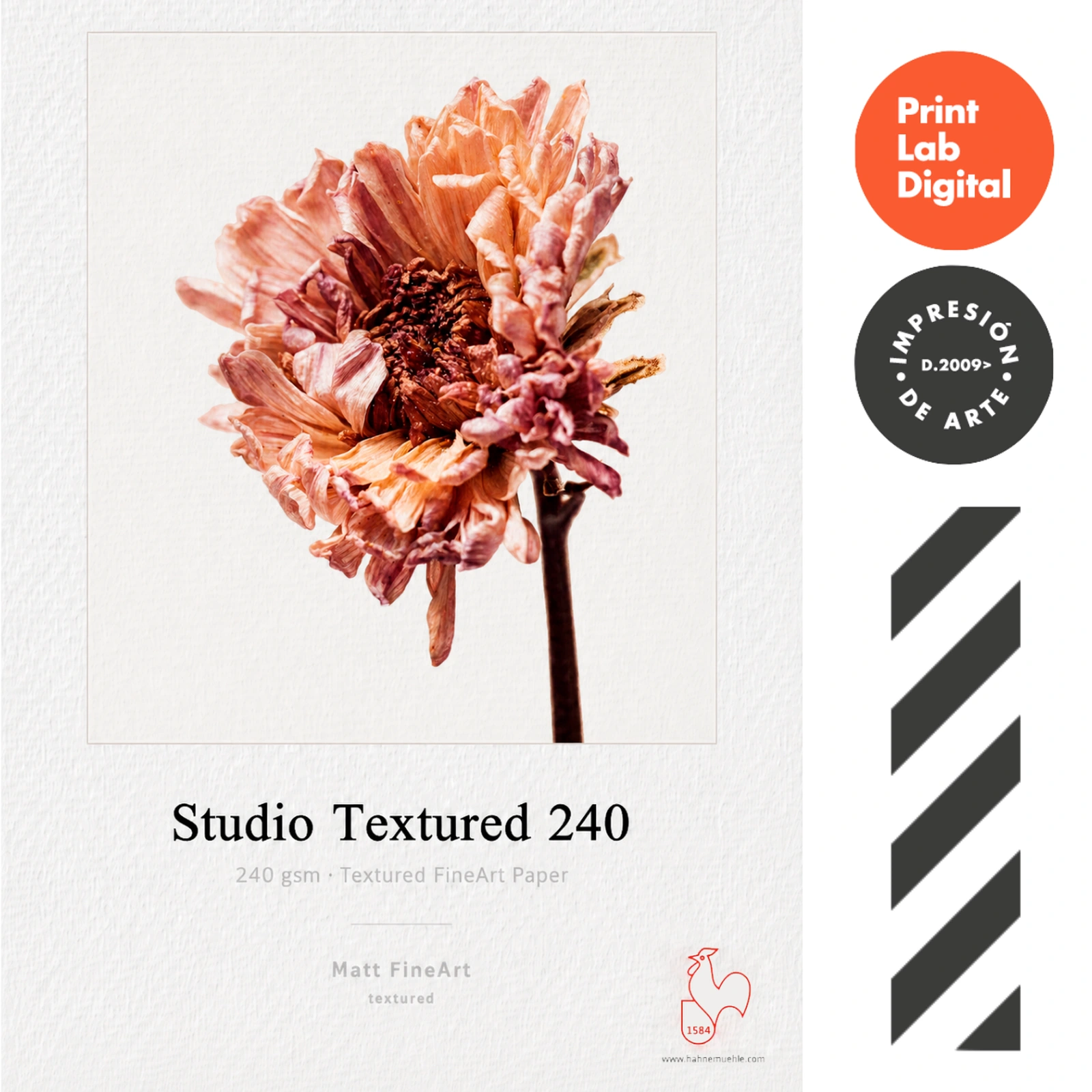 Studio Texturado